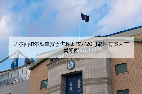 切尔西帕尔默单赛季进球助攻双20可能性有多大前景如何