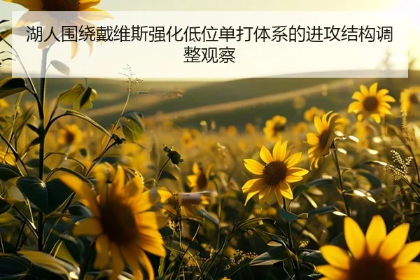 湖人围绕戴维斯强化低位单打体系的进攻结构调整观察