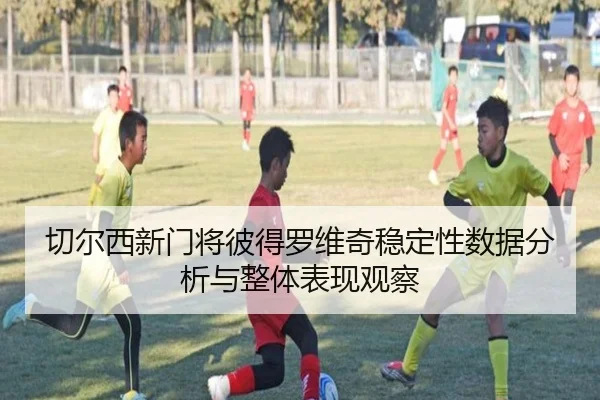 切尔西新门将彼得罗维奇稳定性数据分析与整体表现观察