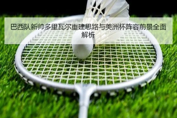巴西队新帅多里瓦尔重建思路与美洲杯阵容前景全面解析