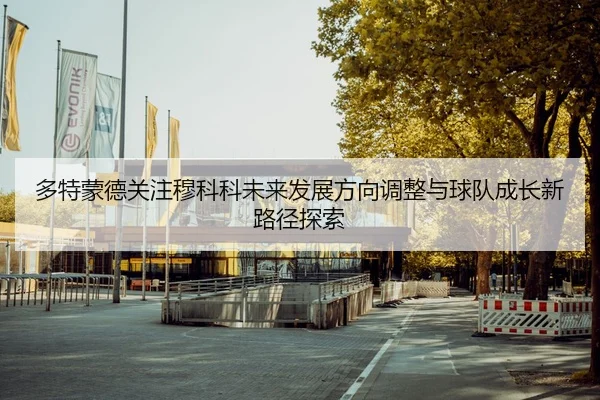 多特蒙德关注穆科科未来发展方向调整与球队成长新路径探索
